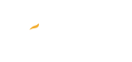 威特斯国际洗衣